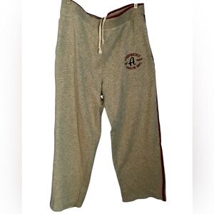 Aeropostale Gray Men's Y2K Lounge Sweatpants Athleisure Drawstring Size M